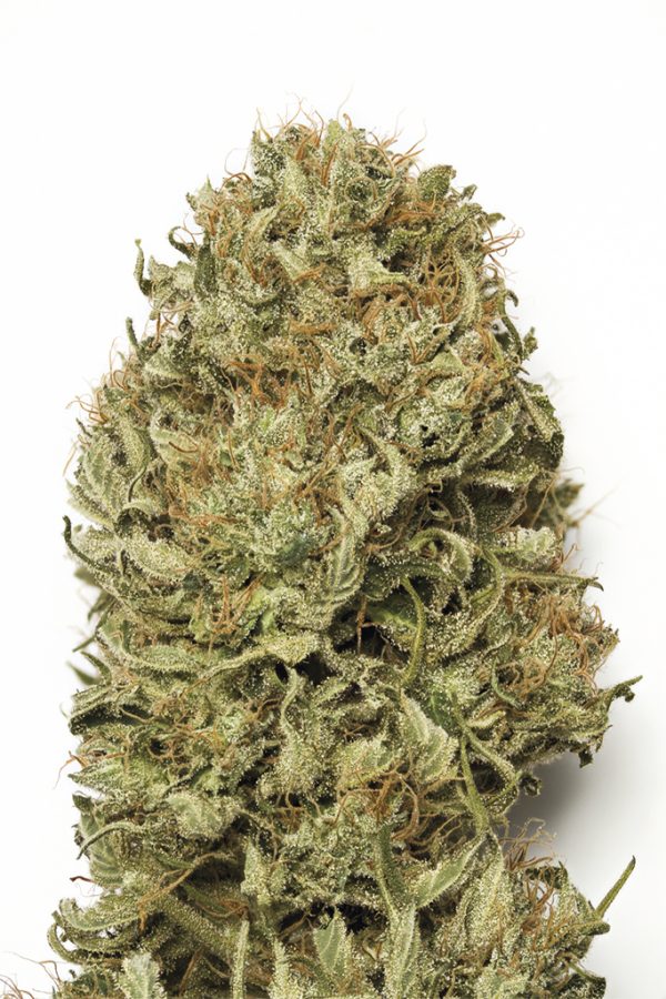 HS0097-blue-dream-auto