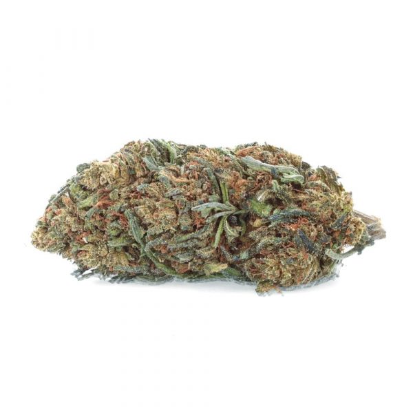 Super Lemon OG CBD Bio fleur greenhouse sol vivant