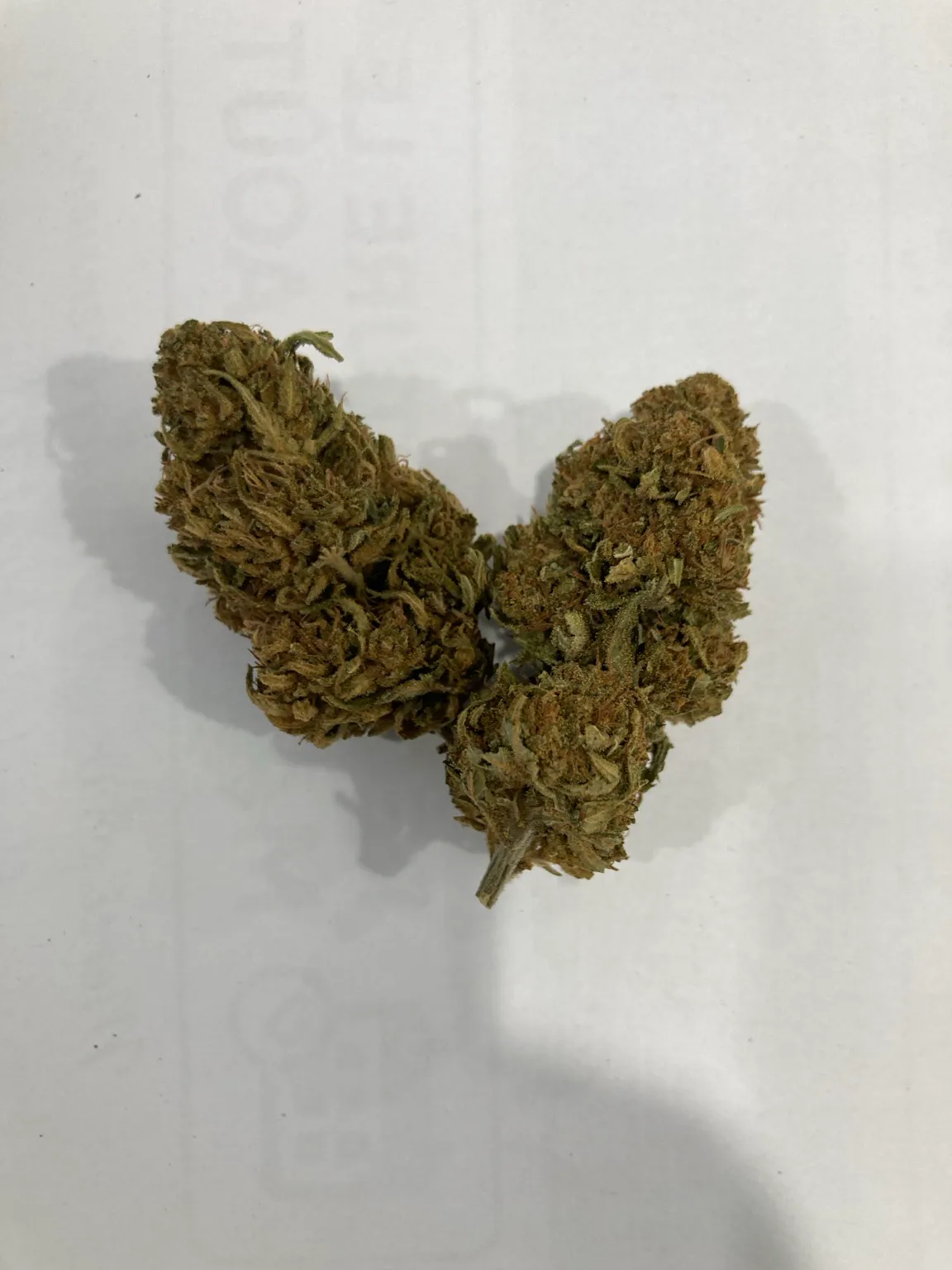 Fleur de CBD Diamond Kush photographiée sur fond blanc